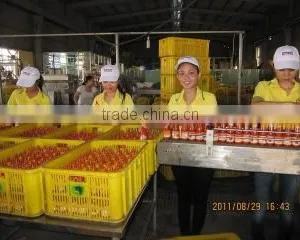 Binh Minh Food Joint Stock Company company overview - view 2 thumbnail