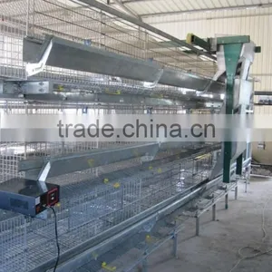 Best Selling Quail Cage For Sale in Quail Farm thumbnail-1