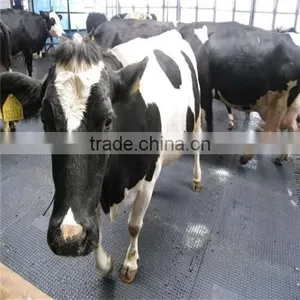 Animal Mat Interlockingcow Horse Stable Mat thumbnail-3