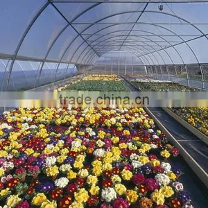 Anti-fog and UV-protection Garden Greenhouse,fiberglass Greenhouse Covering,commercial Hothouses thumbnail-1