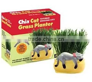 Chia Cat Grass thumbnail-1