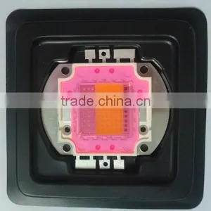 Factory Price Best Selling Products 100w High Power COB LED 380nm - 850nm Full Spectrum Grow Light Chips thumbnail-5