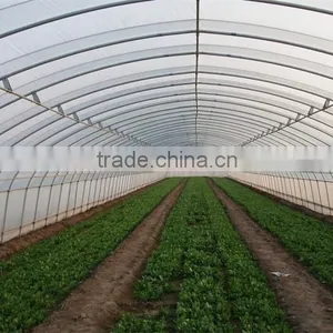Low Price Tunnel Agriculture Greenhouse for Vegetable thumbnail-5