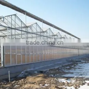 Foreign Customber Design Commercial Greenhouse for Sale thumbnail-1