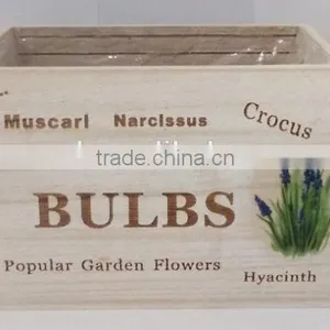 Paulownia Flower Pot thumbnail-2