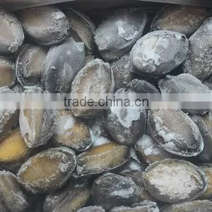 Frozen Taiwan Abalone With Shell thumbnail-6