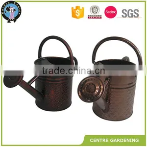 Antique Brass and Bright Brass Home and Garden Decorative Metal Flower Watering Can for Sale thumbnail-4