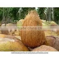 Fresh Vegetables and Fruits in Organic thumbnail-3