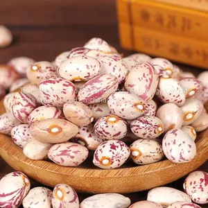 Speckled Beans thumbnail-1