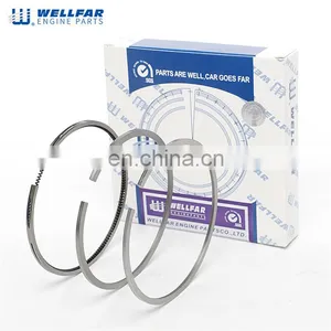 3660300024 OM-366 Engin Parts Piston Ring for Benz OM-366 Engine Spare Part thumbnail-1
