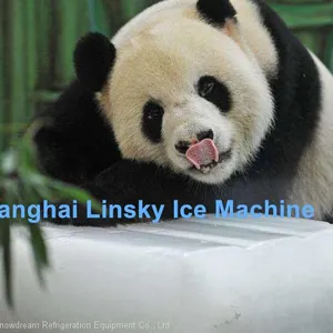 Automatic 10Ton/24hr Block Ice Machine thumbnail-2