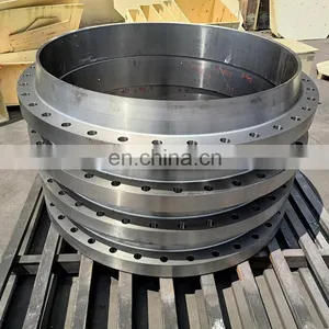 Wholesale OEM Carbon Steel A105 Stainless Steel 304 316L Forged Flange thumbnail-3