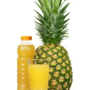 NFC Concentrated Pineapple Juice Processing Machine Production Line thumbnail-2