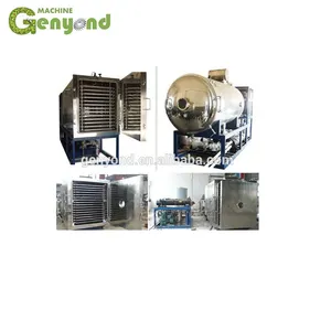 Vacuum Food Freeze Drying Machine for Fruit Chips thumbnail-2
