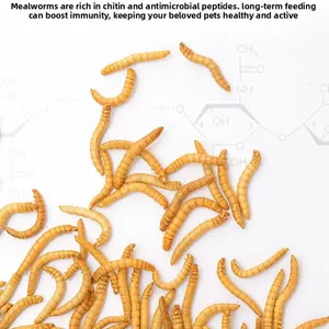 New Kind Fish Feed Made of Eco Fresh Mealworm thumbnail-4