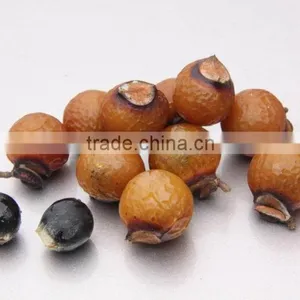 Taiwan Made High Quality Natural Sapindales Soap thumbnail-3