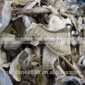 Market Prices for Mushroom thumbnail-5