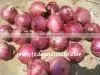 Fresh Red Onion From China thumbnail-1