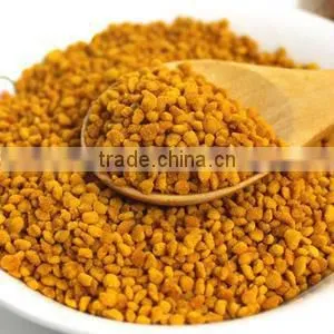 Health Benefits of Bee Pollen thumbnail-1