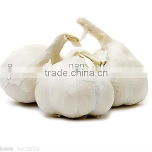 2014 Shandong Fresh White Garlic thumbnail-1