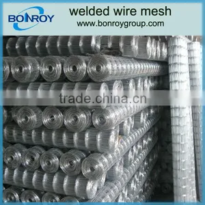 A193welded Wire Mesh thumbnail-1