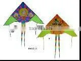 Kites thumbnail-1