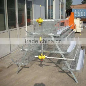 Automatic Chicken Layer Cage for Salling!!! thumbnail-1