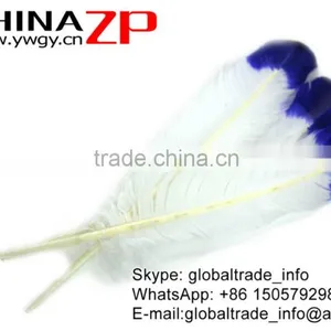 CHINAZP Factory Cheap Wholesale Feather Size From 30cm to 35cm Dyed Blue Half Dipped Bicolourable Turkey Rounds Wing Feathers thumbnail-2