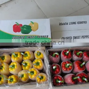 Fresh Mix Vegetable From All China Around thumbnail-3