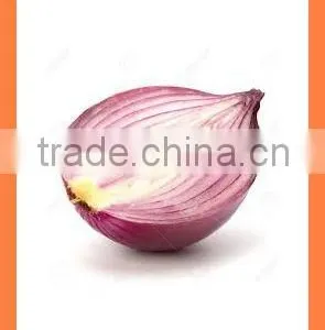 Chinese Export Best Quality Products Fresh Red Yellow Onion thumbnail-4