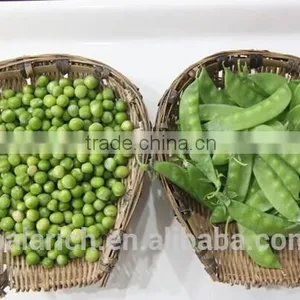 Dried Green Pea thumbnail-4