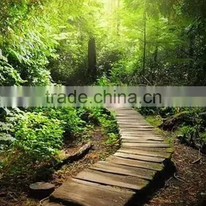Garden Landscape thumbnail-4