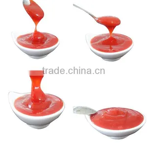 Tomato Ketchup of Good Taste and Lower Price 340g in Plastic Bottle thumbnail-2