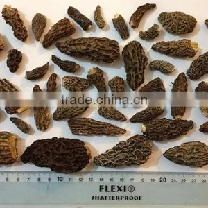 Cultivated Morel Mushroom/dried Morel/black Morchella Conica thumbnail-5