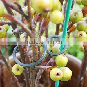 Garden Plant Tomato Clips thumbnail-3