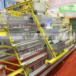 Poultry Farming Equipment for Poultry Farm thumbnail-1