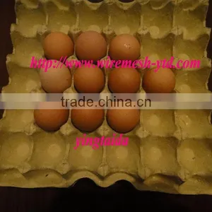 Egg Tray India thumbnail-1