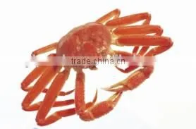 China Made D-glucosamine Hydrochloride Powder thumbnail-6