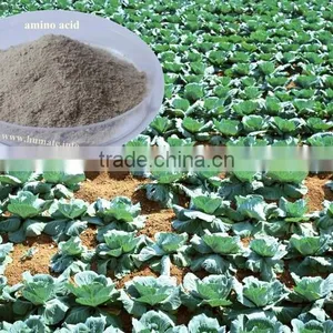 Honganyuan Compound Amino Acid / Soya Bean Extract Amino Acid Powder thumbnail-2