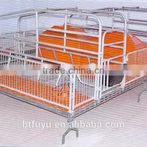 Hot Dip Galvanizing Farrowing Crate thumbnail-3
