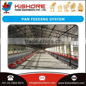 Farm Equipment Poultry Feeding System for Better Production thumbnail-6