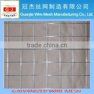 Galvanized Bird Cage/ Welded Wire Mesh Panel/galvanized Wire Mesh thumbnail-1