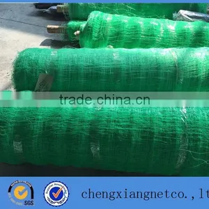 Factory Direct Supply High Quality PE Vegetable Trellis Nets&Plant Support Net thumbnail-1