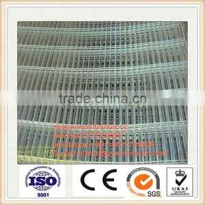 Low Price Welded Wire Mesh/ Galvanized Welded Wire Mesh / PVC Coated Wire Mesh Fence Supplier thumbnail-2