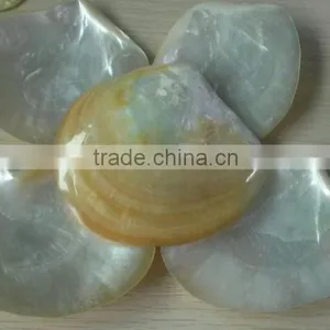 Polished Whitelip Mother of Pearl Shell Inlay thumbnail-1