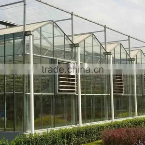 Conservatory House for Agricultural Farming thumbnail-2