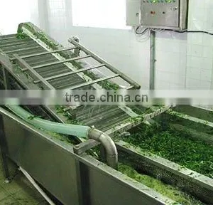 Fruit Washing Processing Line Machine thumbnail-1