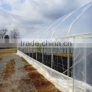 Lift Curtain Side Ventilation Film Greenhouse thumbnail-3