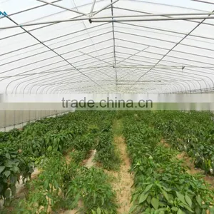 Commercial Used Galvanized Steel Frame Multi Span Greenhouse/Invernadero thumbnail-1