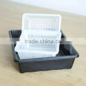 Plastic Gardening Seed Tray (size: 25.2x25.2x15.2) thumbnail-2